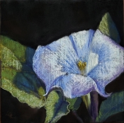 art of Anna Lisa Leal